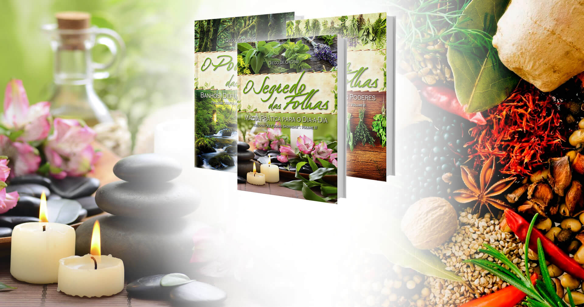 Desvendando Exu | In volume 2 of the collection, babalosha Diego de Oxóssi presents the biggest dictionary of magic herbs in Brazil, with 365 plants in details.